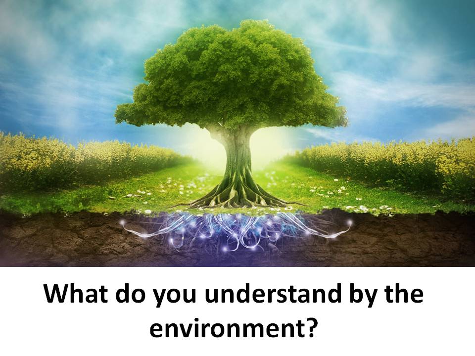 understand by the environment